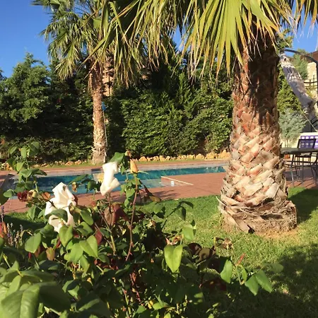 Meliades Agia Marina (Crete)
